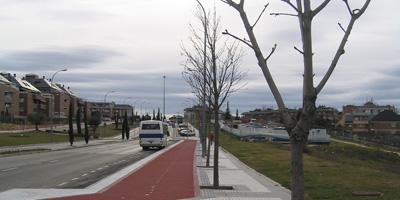 Majadahonda planta nuevos árboles en numerosas zonas del municipio 