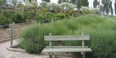 El Parque de Los Negrillos de Majadahonda, más verde que nunca