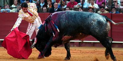 Festejos taurinos en Majadahonda