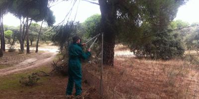 El Ayuntamiento cambia una valla en el Monte del Pilar que limita con Pozuelo