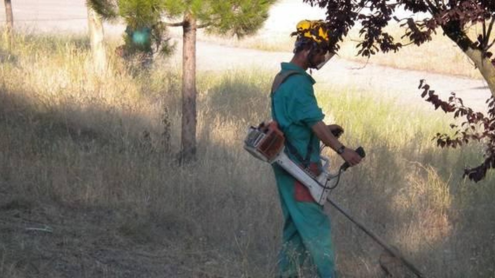 Majadahonda inicia la campaña anual de desbroces en prevención de incendios