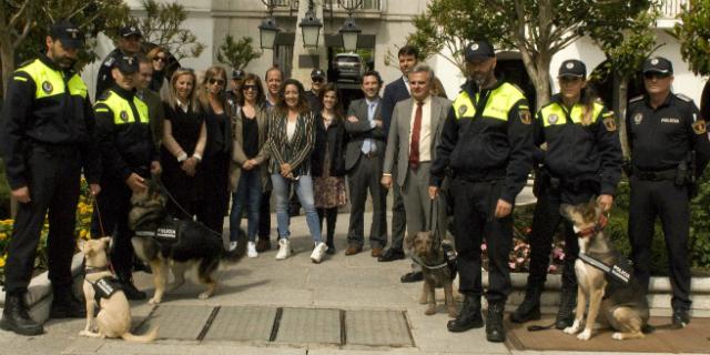 Dyngo, Odi, Tuka y Sua formarán la nueva unidad canina de la Policía Local de Majadahonda