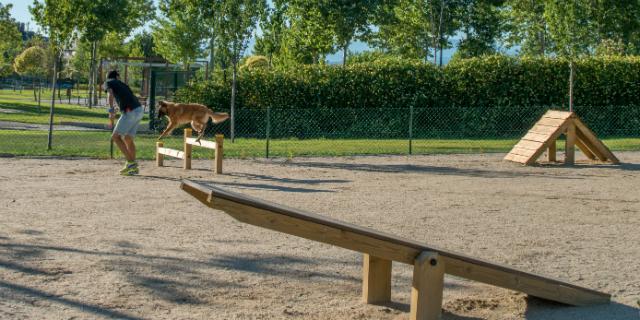 Los parques de Majadahonda tendrán nuevas zonas caninas 