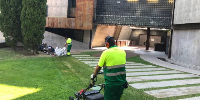 Adjudicado el contrato para el mantenimiento de las zonas verdes de los colegios y escuelas infantiles de Majadahonda