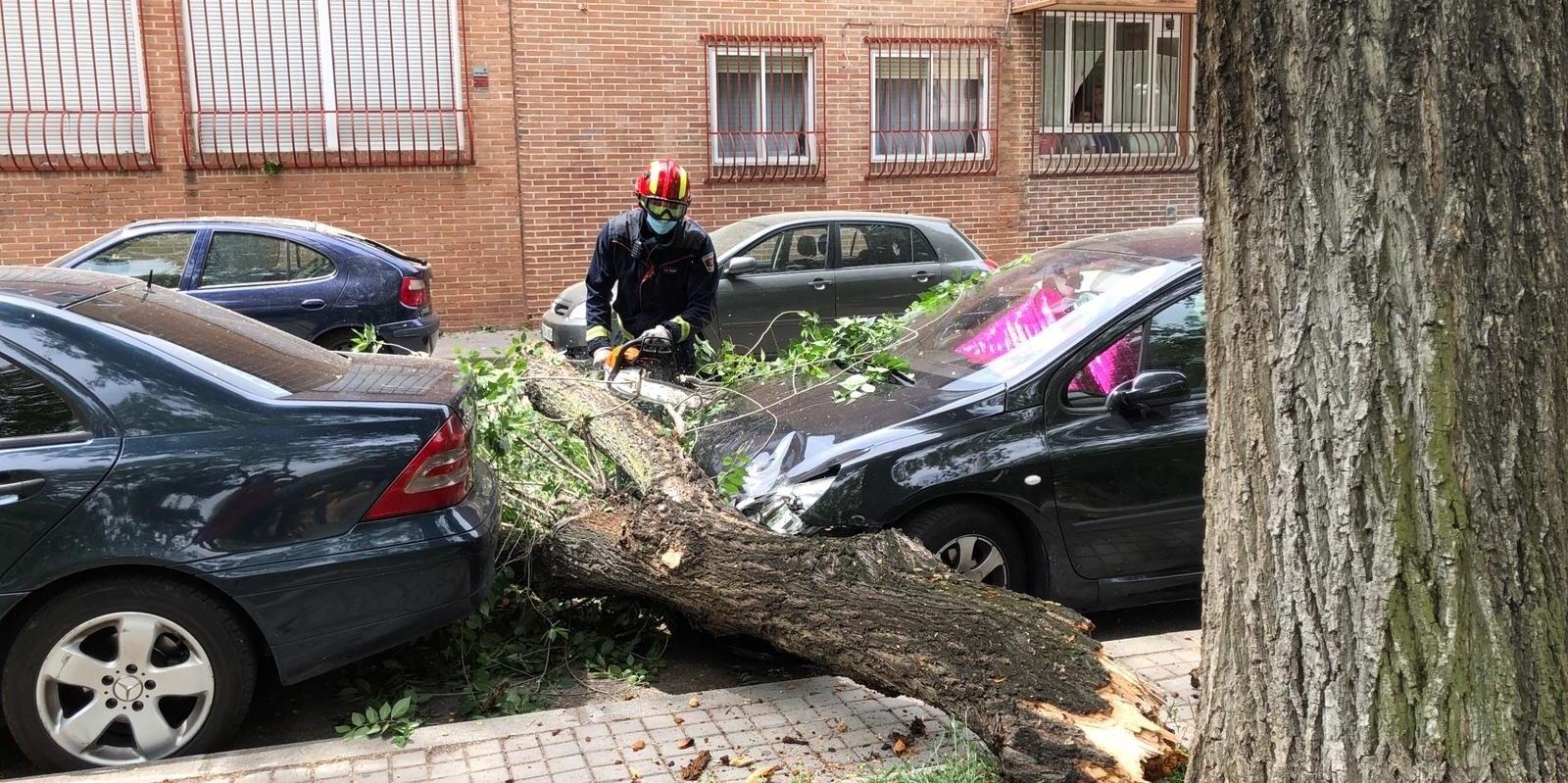 Una gran rama cae sobre varios vehículos aparcados en la calle Doctor Barraquer