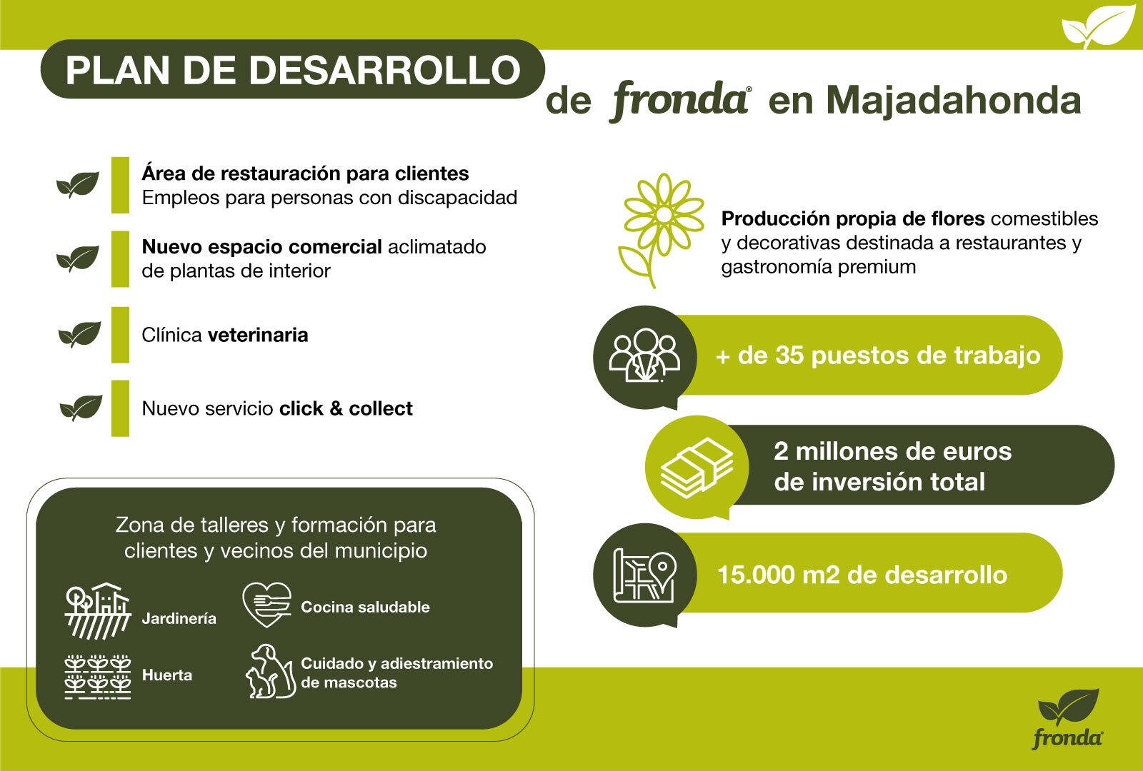 infografa fronda