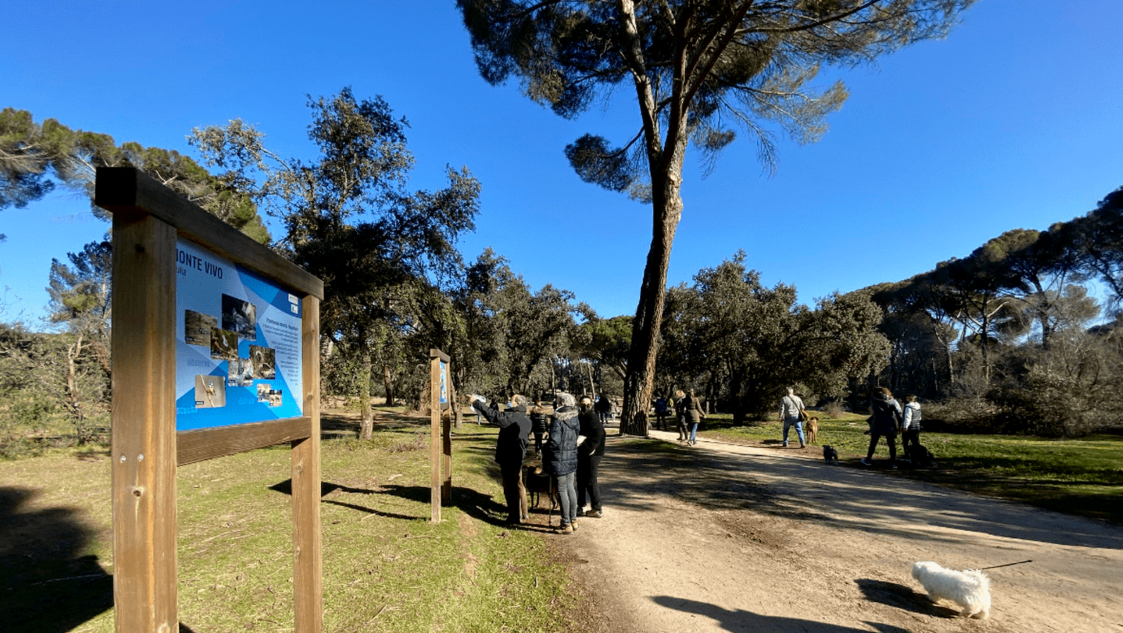 Los mejores parques y espacios verdes de Majadahonda para disfrutar de la naturaleza